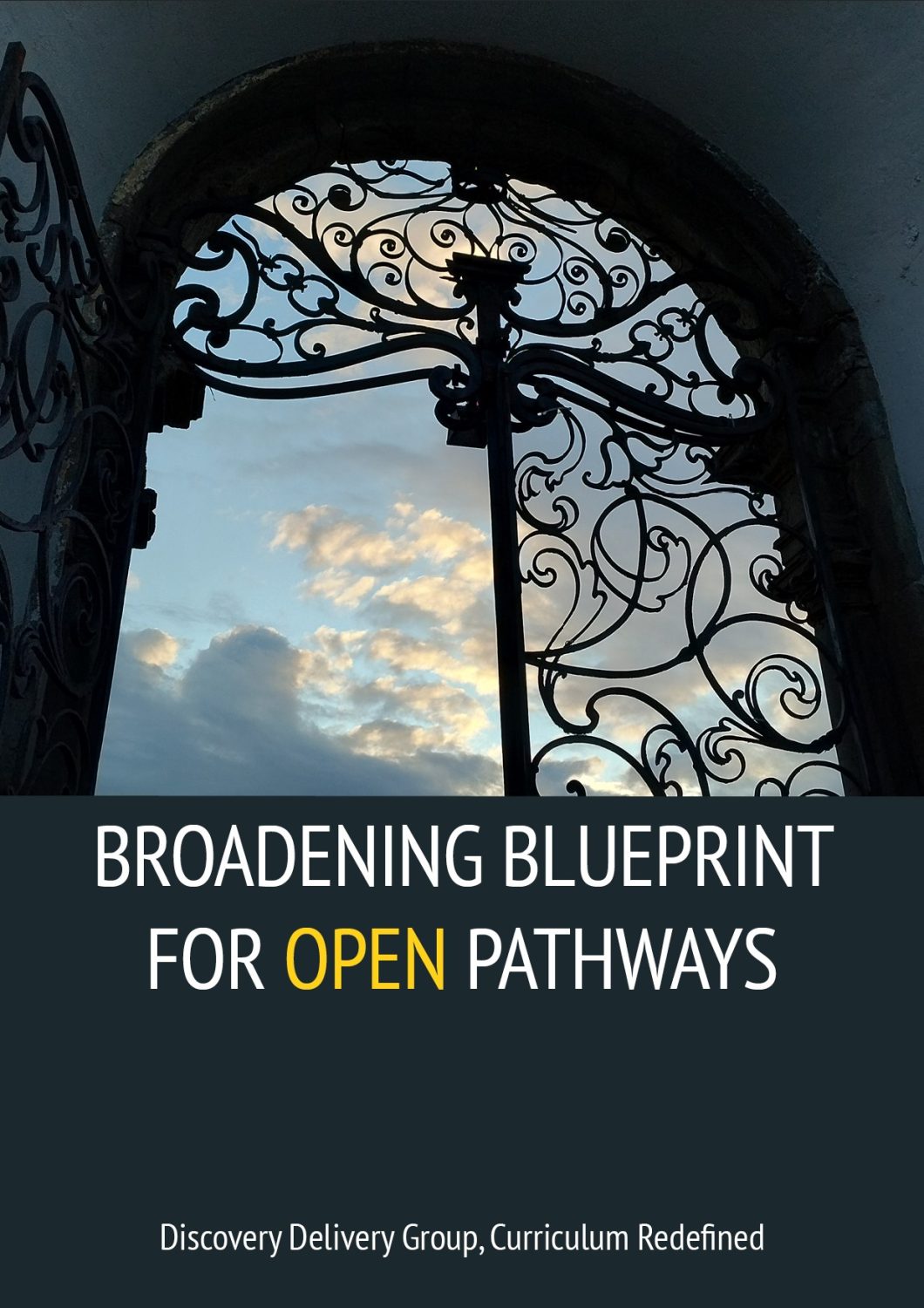 Cover image for Broadening Blueprint for Open Pathways